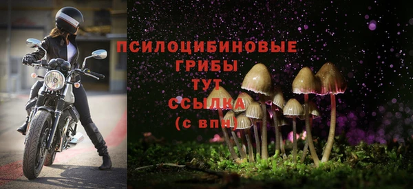 МДПВ Осташков