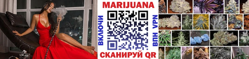 Купить где  Струнино  МАРИХУАНА сатива 